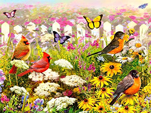 YEESAM ART DIY Ölgemälde Malen nach Zahlen Erwachsene Kinder, Vögel und Schmetterlinge in den Blumen 16x20 Zoll Zahlenmalerei ab 5 Öl Wandkunst (Vögel, ohne Rahmen) von YEESAM ART