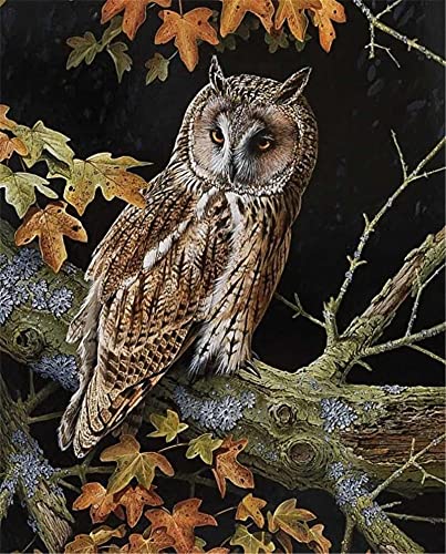 YEESAM ART Malen nach Zahlen Erwachsene Eule Vogel,16x20 Zoll DIY Ölgemälde Zahlenmalerei Öl Wandkunst (Eule, ohne Rahmen) von YEESAM ART