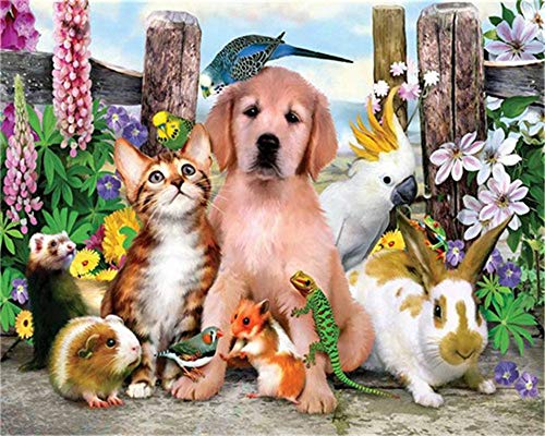 YEESAM ART Malen nach Zahlen Erwachsene Kinder, Hund Katze Hase Papagei Tiere Blumen von YEESAM ART