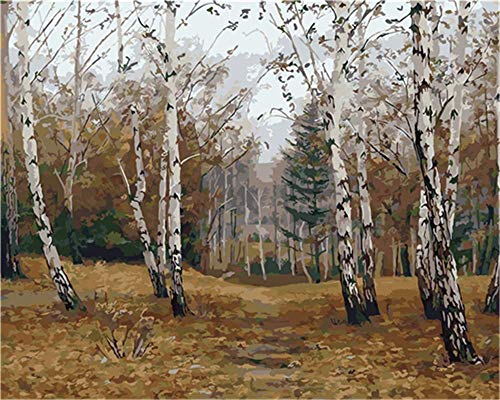 YEESAM ART Malen nach Zahlen für Erwachsene Anfänger Desolate Forest Trees 40x50cm Leinen Leinwand Acryl DIY Zahlenmalsets Wandkunst Dekoration (mit Rahmen) von YEESAM ART
