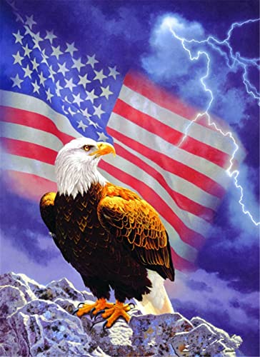 YEESAM ART Malen nach Zahlen für Erwachsene Kinder - Adler American Flagge 16x20 Zoll Leinen Segeltuch - DIY ölgemälde ölfarben Weihnachten Geschenke (Adler, mit Rahmen) von YEESAM ART