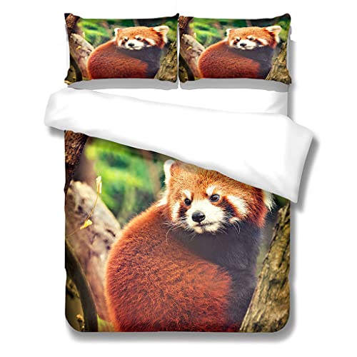 YELDAN Roter Panda Bettwäsche 135x200 Set mit Kissen 80X80 | Bettwäsche Niedlich 2tlg | 100% Weich Mikrofaser | Reißverschluss | Normalgröße | Bettbezug Aesthetic 135x200 cm + 1 Kissen 80x80cm von YELDAN