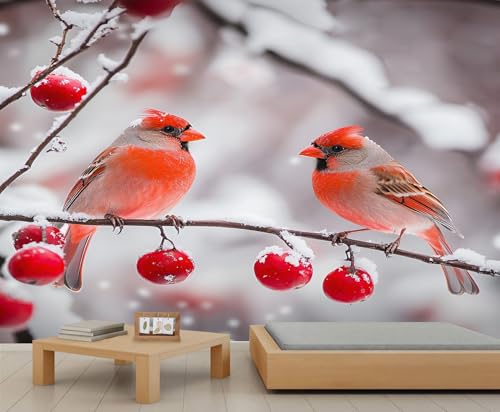YEMYOR Vogel Wandbilder Rote Sparven Tapete Rote Beeren Wohnzimmer Wandbilder Winter Schnee Baum Vögel Schlafzimmer Wandbild Mieter freundliche Tapete-250x175cm YEMYOR Vogel Wandbilder Rote Sparven Tapete Rote Beeren Wohnzimmer Wandbilder Winter Schnee Baum Vögel Schlafzimmer Wandbild Mieter freundliche Tapete-250x175cm von YEMYOR