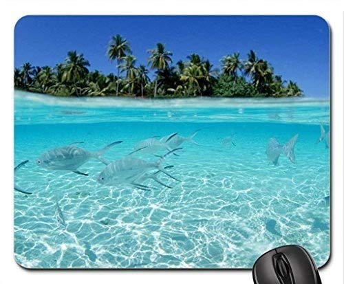 YENDOSTEEN Die Natur die Landschaft Gaming Mouse pad, klaren gewässer Fisch der Insel Mousepad, Maus - Pads (Marine - Mousepad) von YENDOSTEEN