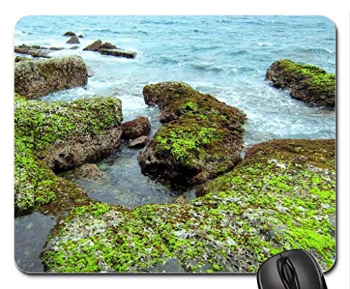 YENDOSTEEN Natur und Landschaft, Gaming Mouse pad, der felsen und Moos - Mousepad, Maus - Pads (Marine - Mousepad) von YENDOSTEEN