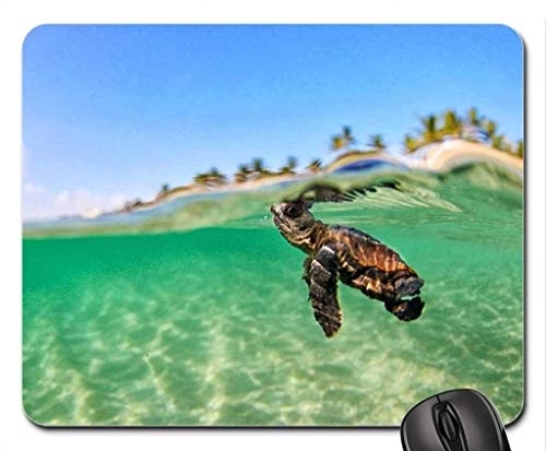 Natur und Landschaft, Gaming Mouse pad, die Blau - Grüne meeresschildkröten Tahiti in der Lagune Mousepad, Maus - Pads (Marine - Mousepad) von YENDOSTEEN