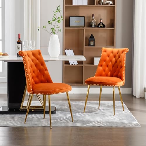 Ein Set von zwei sehr weichen Samtstühlen, mit einer leicht gepolsterten Rückseite und goldenen Metallbeinen. Moderne und unverwechselbare Stühle werden in Wohn- und Esszimmer verwendet (Orange) von YESGIGA