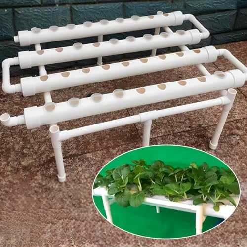 YESTAIM Hydroponic Site Grow Kit Hydroponisches Anbausystem 36 Pflanzen Basis Anbausystem Gemüse Und Hydroponik Mit Schlauch Für Haus Garten Büro Anbaukit Gartensystem Obst YESTAIM Hydroponic Site Grow Kit Hydroponisches Anbausystem 36 Pflanzen Basis Anbausystem Gemüse Und Hydroponik Mit Schlauch Für Haus Garten Büro Anbaukit Gartensystem Obst von YESTAIM
