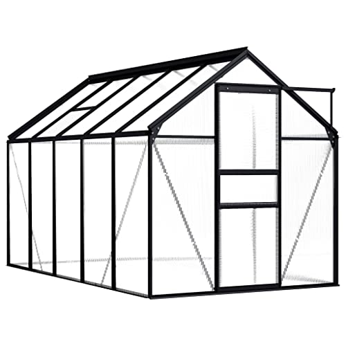 YEZIYIYFOB Gewächshaus Anthrazit Aluminium 5,89 m² 190x310x195 cm GewäChshaus Klein Frostschutz Pflanzen Winterschutz FrostwäChter GewäChshaus Winterfest GeräTehaus Rinnensystem Nicht Fundament von YEZIYIYFOB