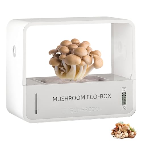 Smart Mushroom Growing Kit with LED Lighting, One Button Operation, Auto Humidity Control, Real-Time Temp & Humidity Display, Ventilation System, USB Powered Desktop Mushroom Grower Smart Mushroom Growing Kit with LED Lighting, One Button Operation, Auto Humidity Control, Real-Time Temp & Humidity Display, Ventilation System, USB Powered Desktop Mushroom Grower von YEZMEK