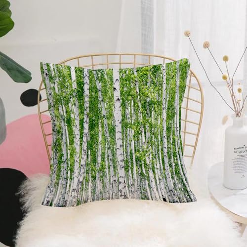 YFHJV Kissenbezüge kissenhüllen für,Schlafzimmer Wohnzimmer Büro,Zierkissenbezug mit unsichtbarem Reißverschluß,Birke, sonnige Birke mit einzigartiger weißer Rinde und frischen grünen Blätte,40x40 cm YFHJV Kissenbezüge kissenhüllen für,Schlafzimmer Wohnzimmer Büro,Zierkissenbezug mit unsichtbarem Reißverschluß,Birke, sonnige Birke mit einzigartiger weißer Rinde und frischen grünen Blätte,40x40 cm von YFHJV