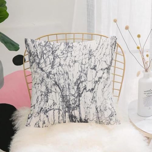 YFHJV Kissenbezüge kissenhüllen für,Schlafzimmer Wohnzimmer Büro,Zierkissenbezug mit unsichtbarem Reißverschluß,Weiße Marmorstruktur mit natürlichem Muster kann als Hintergrund für die Anzei,40x40 cm YFHJV Kissenbezüge kissenhüllen für,Schlafzimmer Wohnzimmer Büro,Zierkissenbezug mit unsichtbarem Reißverschluß,Weiße Marmorstruktur mit natürlichem Muster kann als Hintergrund für die Anzei,40x40 cm von YFHJV