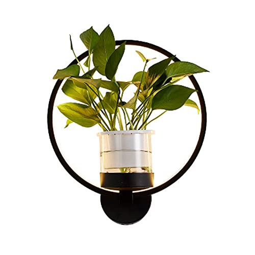 YFMYY Schwarze Aluminium-Wandleuchte Leuchte 18W LED Wandleuchte mit warmem Licht, nordische Moderne minimalistische Bonsai-Wandleuchte, Wandleuchten für Wohnzimmer-Wohnkultur von YFMYY