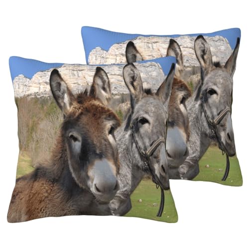 YFSGDLBN Kissenbezug mit lustigem Esel-Motiv, bedruckt, Leinenimitat, 2 Sets von YFSGDLBN