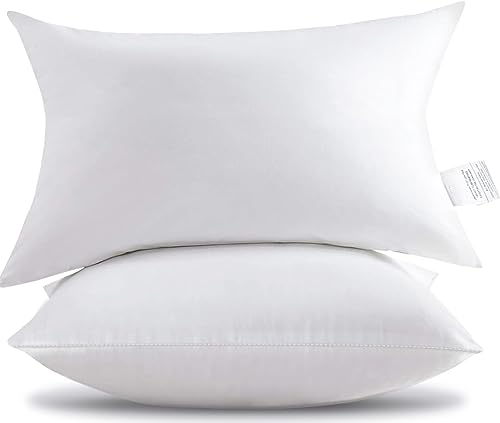 YGFADH 2er Set Kissenfüllung Innenkissen 50x75 cm Wasserdicht Weich Füllkissen Zierkissen Kopfkissen Sofakissen Outdoor Kissen für Schlafzimmer Wohnzimmer Couch Geburtstag, Muttertag (50 x 75 cm) von YGFADH