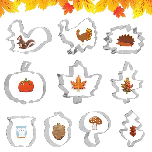 Ausstechformen Herbst, 10 Stück Erntedankfest Keksausstecher DIY Plätzchenausstecher, EAusstecher Kürbis Herbst mit Ahornblatt Blätter Igel für Keks Backen von YGKYMVW