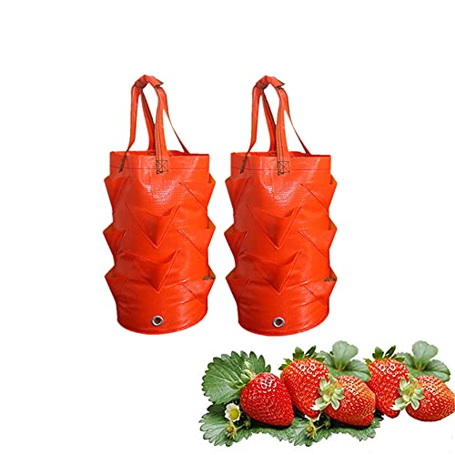 YGMXZL 2 PCS Erdbeeren Pflanzen Tasche,Pflanzen Grow Tasche mit Griffe 8 seitliche Wachstumstaschen,Pflanztaschen für Blumen, Pflanzen, Gemüse,3 Gallon (Orange) von YGMXZL