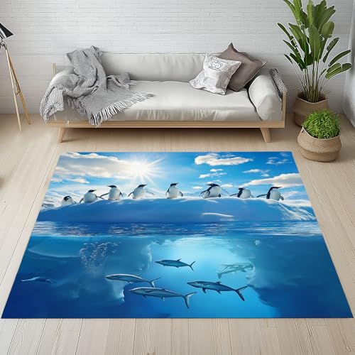 YGcegcia Pinguin Hai Polartier Schneeszene Fußmatte Outdoor Eisberg Landschaft Unterwasserwelt Waschbare Teppich Bettvorleger Teppiche Klein Kurzflor Eingangsmatte Innen rutschfest Weich 80x120 cm von YGcegcia