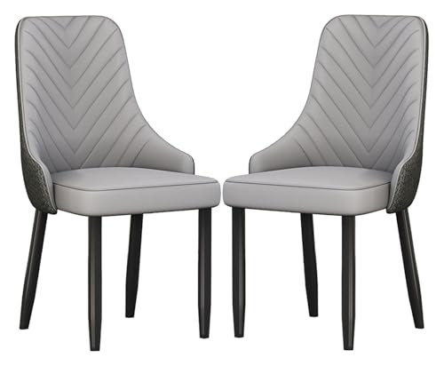 YHDMBBSHNB Esszimmerstühle, Küchenstuhl, Esszimmerstühle 2er-Set, Küchenstühle mit hoher Rückenlehne, Sitzfläche aus PU-Leder und Metallrahmen(Light Gray) von YHDMBBSHNB