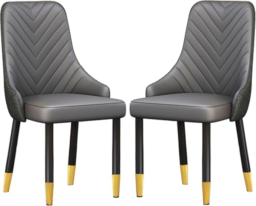 YHDMBBSHNB Esszimmerstühle, Küchenstuhl, Esszimmerstühle 2er-Set mit Metallbeinen for Küche, Restaurant, Wohnzimmer(Dark Gray) von YHDMBBSHNB