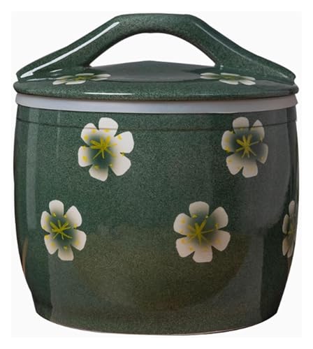 YHDMBBSHNB Reisglas Aus Keramik, Keramik-Reisvorratsbehälter, Reiseimer Vorratsdose, Keramik Reisdose mit Deckel, Müslispender(B,15KG) von YHDMBBSHNB