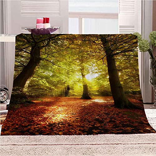 YHDNP Kuscheldecke Für Erwachsene Kinder 3D Herbstliche Waldlandschaft 130x150cm Flanell Decke Sofadecke Couchdecke Bettüberwurf Wohndecke Weiche Warme Fleecedecke Decke Wohndecken Kuscheldecken von YHDNP