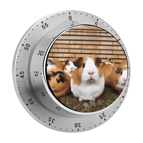Timer, Meerschweinchen-Druck, visueller Timer, mechanischer Küchentimer, Edelstahl, Countdown-Timer, 60-Minuten-Aufzieh-Timer Timer, Meerschweinchen-Druck, visueller Timer, mechanischer Küchentimer, Edelstahl, Countdown-Timer, 60-Minuten-Aufzieh-Timer von YHEGBFD