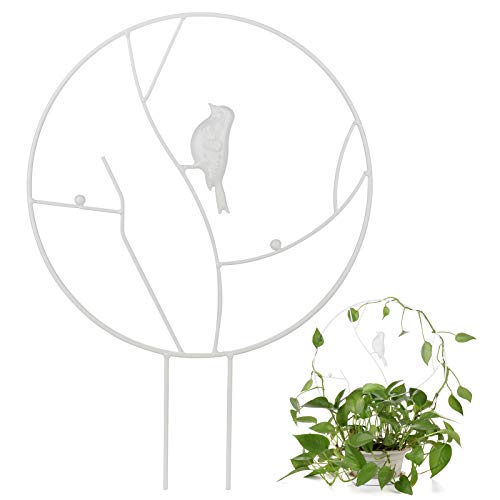 YHNJI Rankgitter für Kletterpflanzen, Vintage Pflanzenstützstab mit Vogel Rund Metall Rostfrei Gartenrahmen für Topfpflanzen Reben von YHNJI