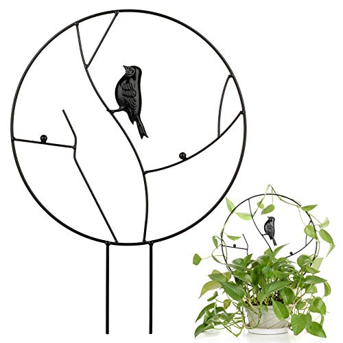 YHNJI Rankgitter für Kletterpflanzen, Vintage Pflanzenstützstab mit Vogel Rund Metall Rostfrei Gartenrahmen für Topfpflanzen Reben von YHNJI