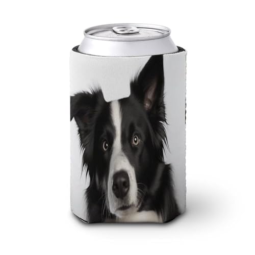 340 ml Dosenhülse, wiederverwendbar, elastische PVC-Verbundwerkstoffe, kalte Heißgetränke, Bordüre, Collieprint, isolierte Dosenhüllen für Bier von YHNNH