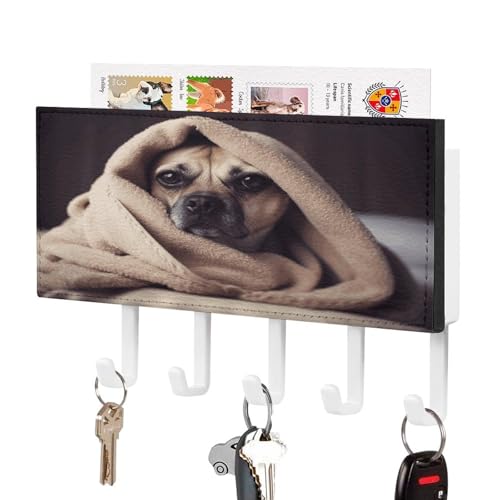 YHNNH Schlüsselhaken zur Wandmontage, Hund in einer Decke, bedruckter Kunststoff-Dekor-Schlüsselaufhänger für die Wand mit 5 Schlüsselhaken, individuelles Schlüsselbrett für Eingangsbereich von YHNNH