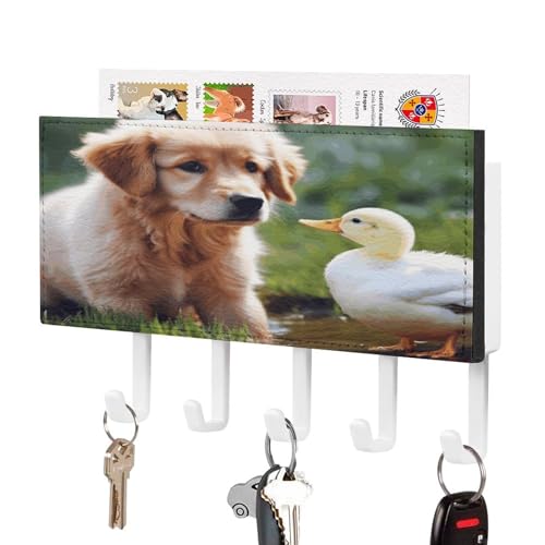 YHNNH Schlüsselhaken zur Wandmontage, Hund und Ente bedruckt, Kunststoff-Dekor-Schlüsselaufhänger für die Wand mit 5 Schlüsselhaken, individuelles Schlüsselbrett für Eingangsbereich, Wohnzimmer, Büro von YHNNH