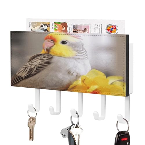 YHNNH Schlüsselhaken zur Wandmontage, niedlicher Nymphensittichdruck, Kunststoff-Dekor-Schlüsselaufhänger für die Wand, mit 5 Schlüsselhaken, individuelles Schlüsselbrett für Eingangsbereich YHNNH Schlüsselhaken zur Wandmontage, niedlicher Nymphensittichdruck, Kunststoff-Dekor-Schlüsselaufhänger für die Wand, mit 5 Schlüsselhaken, individuelles Schlüsselbrett für Eingangsbereich von YHNNH