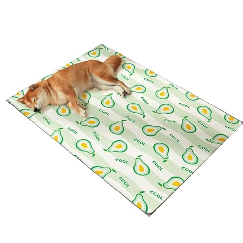 YHOPJKFRA Kühlmatte für Hunde – Weicher, Dicker Schaumstoff, stützendes Gel, selbstkühlendes Pad für Hunde und Katzen im Sommer. Langlebig, Kratzfest | Melone von YHOPJKFRA
