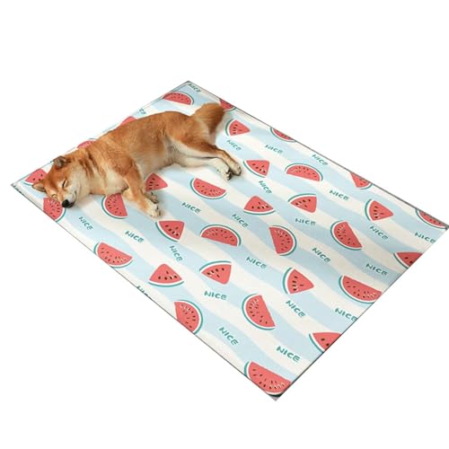 YHOPJKFRA Kühlmatte für Hunde – Weicher, Dicker Schaumstoff, stützendes Gel, selbstkühlendes Pad für Hunde und Katzen im Sommer. Langlebig, Kratzfest | Wassermelone von YHOPJKFRA