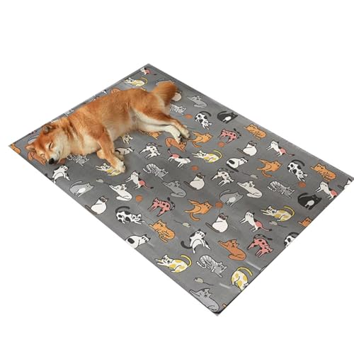YHOPJKFRA Kühlmatte für Hunde – Weicher, Dicker Schaumstoff, stützendes Gel, selbstkühlendes Pad für Hunde und Katzen im Sommer. Langlebig, Kratzfest | graue Katze von YHOPJKFRA
