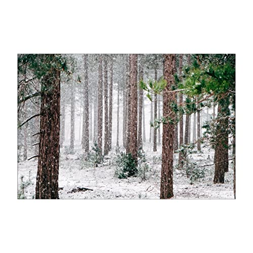 YHSGY Wald in starkem Schnee Winterbilder Schneelandschaft Leinwandbilder.Leinwand Wandkunst Gemälde für Wohnzimmer Deko 50x75cm(20'x30') Rahmenlos, Kein Rahmen von YHSGY