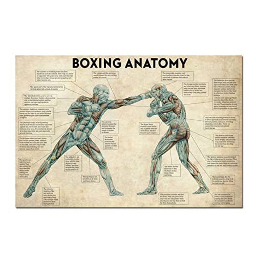 YHXCT Vintage Boxing Body Anatomy Posters and Prints Wall Art Canvas Painting Boxing Lover for Gym Room Cuadros Posters for Boys Room Bilder,Poster,Kunstdrucke Wandtattoos - 50X70Cm von YHXCT