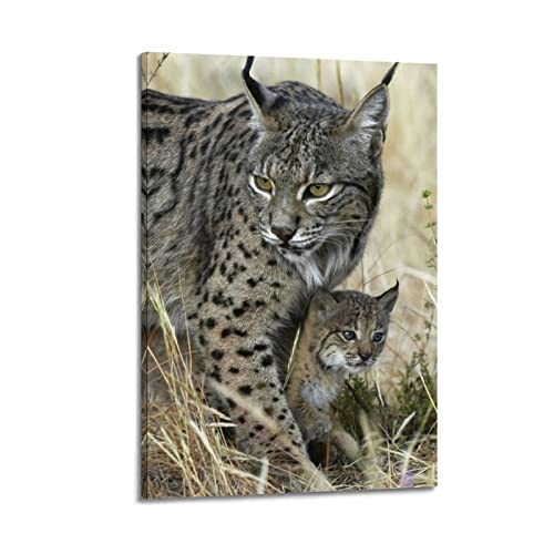 YIBIN Tier-Poster für Schlafzimmer, Luchs-Rufus-Poster, dekoratives Gemälde, Leinwand, Wandposter und Kunstbild, modernes Familien-Schlafzimmer, 30 x 45 cm von YIBIN