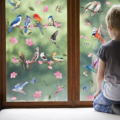 YICHEN Bunt Vogel Fenstersticker, 2 Blätter 40 Pcs Fensteraufkleber Kolibri PVC Anti-Kollision Aufkleber, Kolibri Fensterbild Fenster, Für Schutz Vor Vogelschlag, Wohnkultur Aufkleber Verwendet Werden von YICHEN