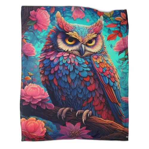 Bunte Eule Fleecedecke Wohndecke 3D Druck Tierkunst Couchdecke Sofadecke Flauschig Warm Weichen Flauschig Kuscheldecke Bett Decken Tagesdecke for Erwachsene Kinder 50x60inch(127x152cm) von YIGEBAG