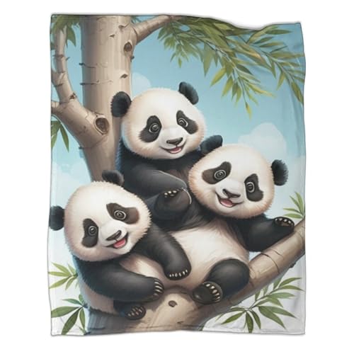 süßer Panda 3D Druck Tierkunst Couchdecke Fleecedecke Decke Sofadecke Kuscheldecke Tagesdecke Weichen Flauschig Flauschig Warm Bett Decken Für Mädchen Jungen 40x50inch(100x130cm) von YIGEBAG
