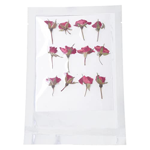 Natürliche gepresste Rose Blume mit Stiel Rosenblüte für Hochzeitseinladungen Foto Geschenkkarten Glasrahmen für gepresste Blumen Sechseck Natürliche gepresste Rose Blume mit Stiel Rosenblüte für Hochzeitseinladungen Foto Geschenkkarten Glasrahmen für gepresste Blumen Sechseck von YIGZYCN