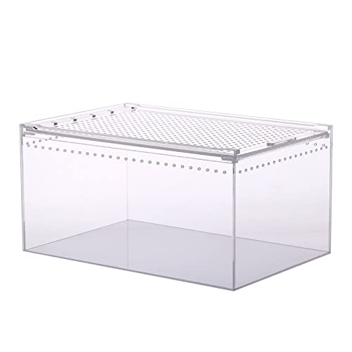 Reptilien Fütterungsbox Acryl Reptilien Käfig Clear Design Cube Container Für Spinnen Eidechsen Schlangenschnecken Schildkröten Kleine Haustier Reptilien Zuchtbox Zuchtbox Groß Reptilien Fütterungsbox Acryl Reptilien Käfig Clear Design Cube Container Für Spinnen Eidechsen Schlangenschnecken Schildkröten Kleine Haustier Reptilien Zuchtbox Zuchtbox Groß von YIGZYCN