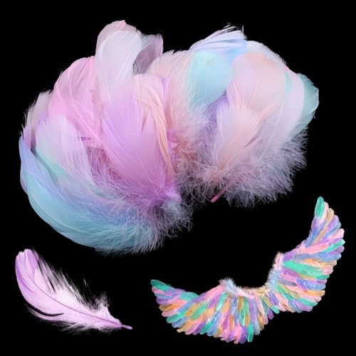 YIHAOH 400 Stück Kleine Natur Feder, Bunte Federn, Bastelfedern für DIY-Basteldekorationen, Hochzeiten und Handgemachte DIY-Projekte von YIHAOH