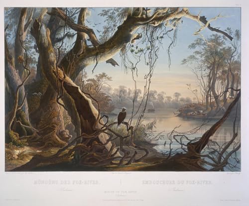 YIMACBJXX Bekannt Abstrakter Druck Malerei Poster Flussmündung von Karl Bodmer Berühmte Leinwand für Heimtextilien 60x90cm von YIMACBJXX