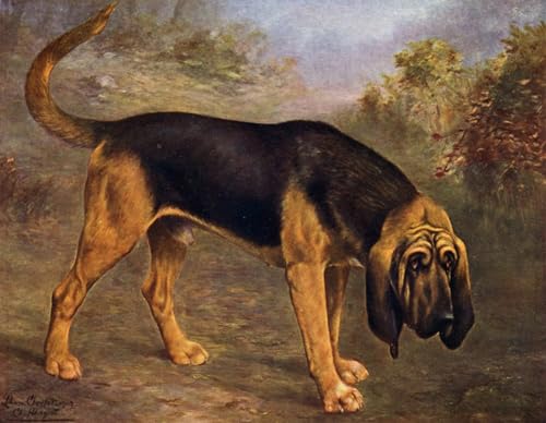 YIMACBJXX Bekannt Abstrakter Druck Malerei Poster The Bloodhound Hengist von Lilian Cheviot Berühmte Leinwand für Heimtextilien 60x90cm von YIMACBJXX