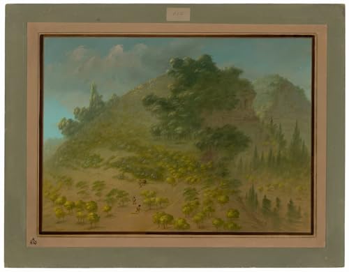 YIMACBJXX Bekannt Leinwand Drucken Poster Wandbilder Rhododendron-Berg von George Catlin Modern Poster für Wohnzimmerdekoration 60x90cm von YIMACBJXX