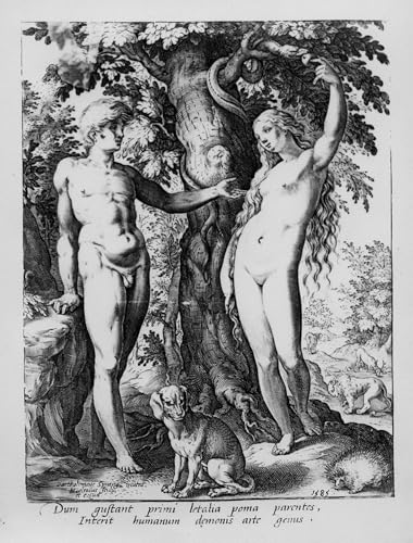 YIMACBJXX Bekannt Leinwand Drucken Poster Wandbilder und Eva gestochen von Bartholomaeus Spranger Modern Poster für Wohnzimmerdekoration 60x90cm von YIMACBJXX