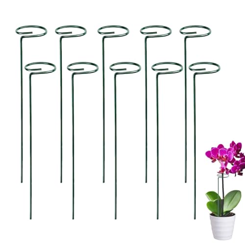 10 Stücke Staudenhalter, Strauchstütze, Blumenstütze, Metall Garten Stützring, Pflanzenhalter Ringkäfig, Metall, Mit Wasserdichter Beschichtung, für Pflanzen, Blume (Einzelne Stütze 30cm, 10) von YIMINI